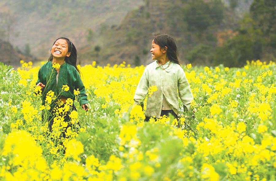 Siêu phẩm nhà vườn mặt tiền sông lớn-main